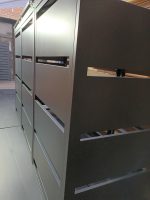 20241126_152702 - Gardens World